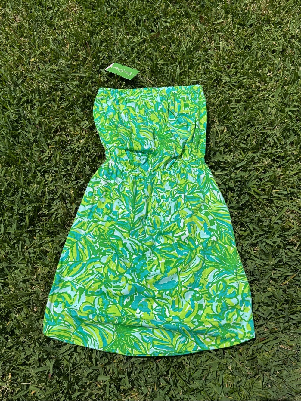 Lilly Pulitzer Windsor Dress
